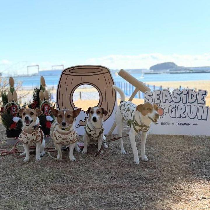 C28b6ea9 2521 4eca 91d0 79571f6f5cf8 1768035010872