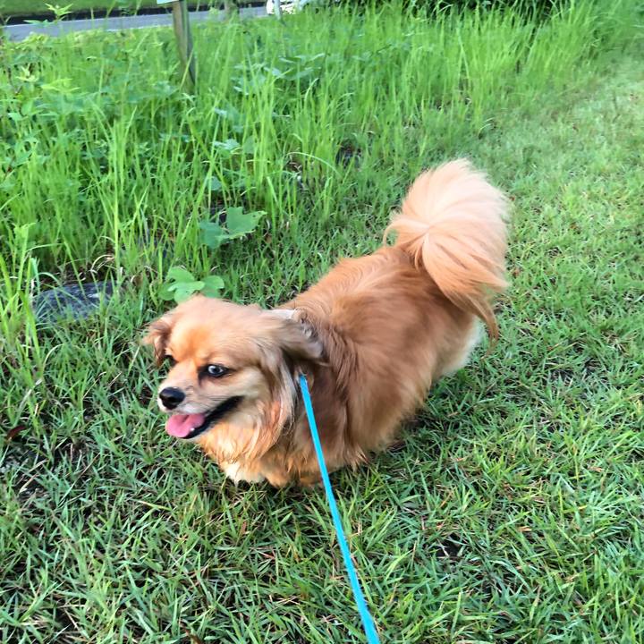 C28b87e5 b067 4b35 ba3f c7824dc9948d 1564003149220