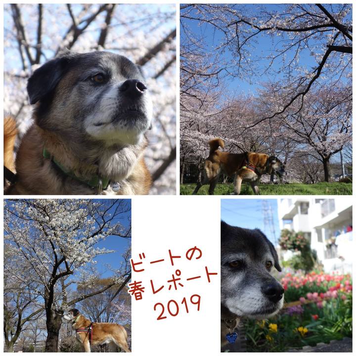 C28bb295 17ae 46c1 b81e 69c7c086006d 1661734581080