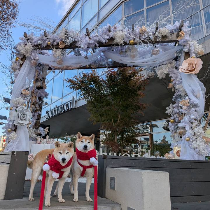 C28bd2f7 523c 40fc bc82 e3a5ba5761a4 1765858143035