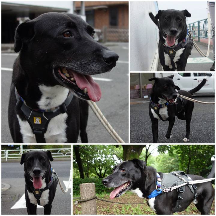 C28bfa8e 4f49 40b0 91df 9a1ff1ce2491 1655339903274