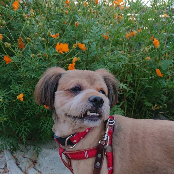 C28c0a22 e926 4663 b1b4 eb2547483d3c 1568931469723