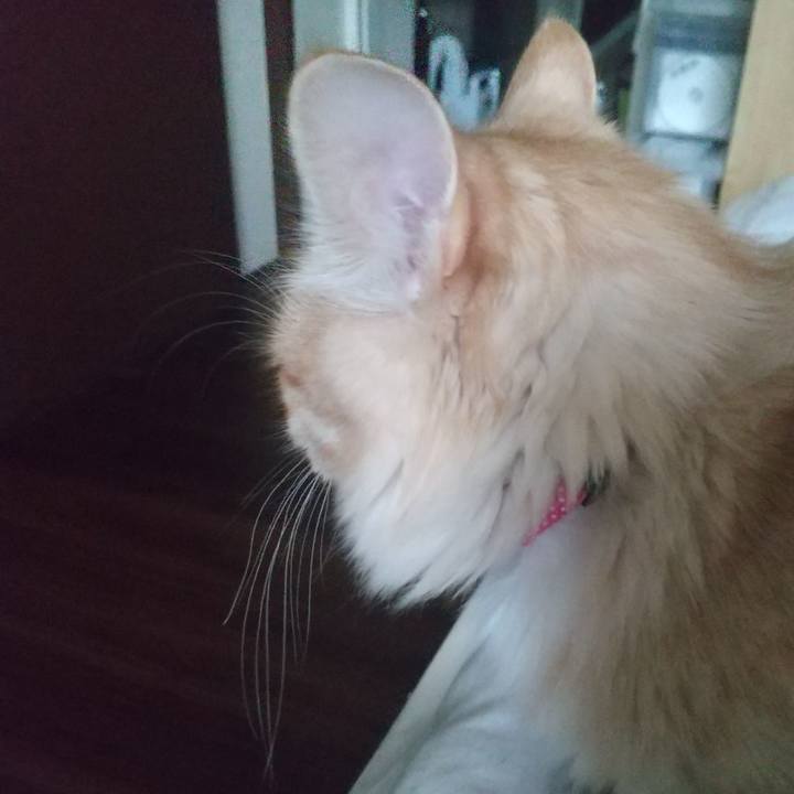 C28c0c09 d5fe 4a72 b30d 628d6ddd5052 1619127366088