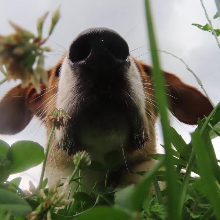 C28c34bf 72a7 4b8a 840e e19fb886c930 1624671552160