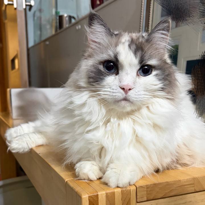 C28c392d f504 4aa8 947c c60a5001e7e5 1775923359984