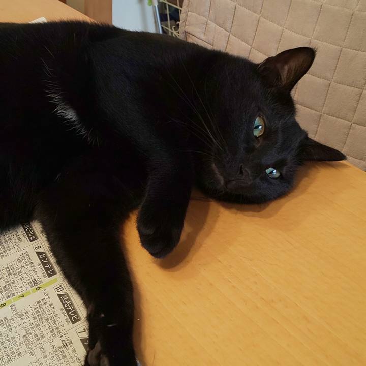 C28c44cb c27c 4d2e bf92 1a8a9656f25a 1597367938827