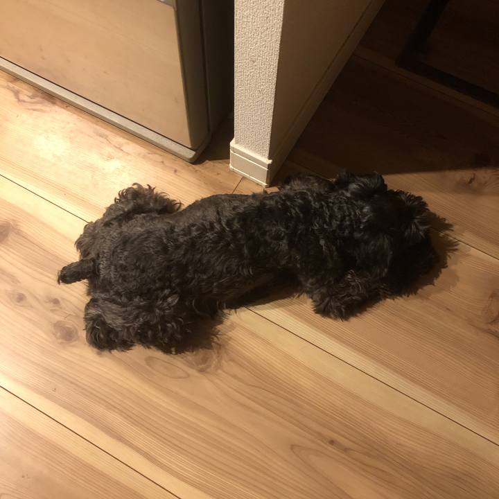 C28c581a 5d57 46b2 8e24 949e4a7111c7 1561807772204