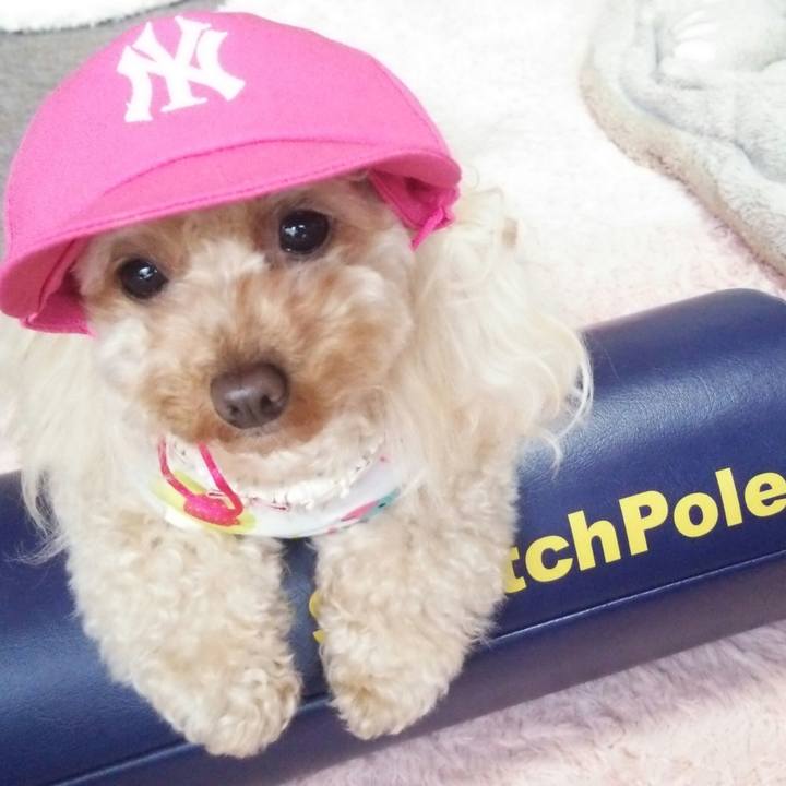 C28c5ced 7e47 47ee 9c61 40754730ae27 1519894095646