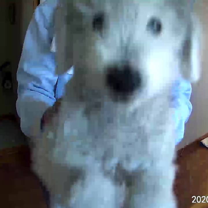 C28c63b0 303e 4b83 ac72 3577c8724bd9 1593773408327