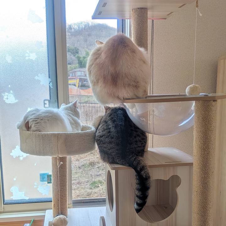 C28c6c34 0886 4199 80e0 b73d2b4d3ecc 1765584307022