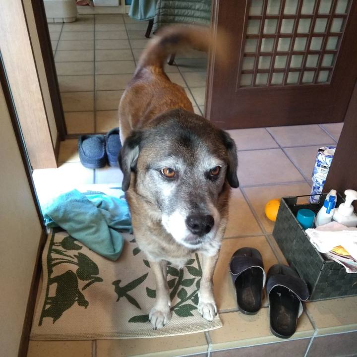 C28c8f6f 1516 4a93 aa7f 0468bfc1c2e9 1549019392499