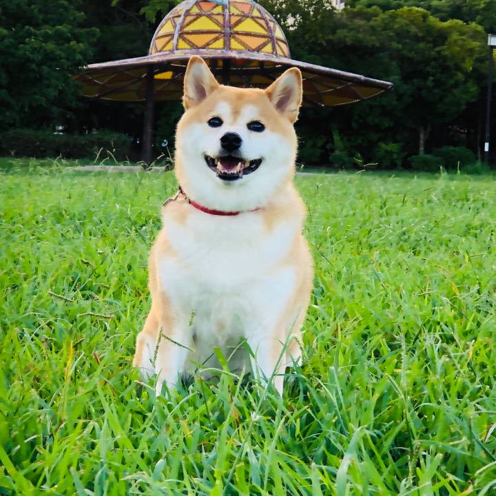 C28c978f e905 443f 9e02 ad173ec12ad1 1568125095341