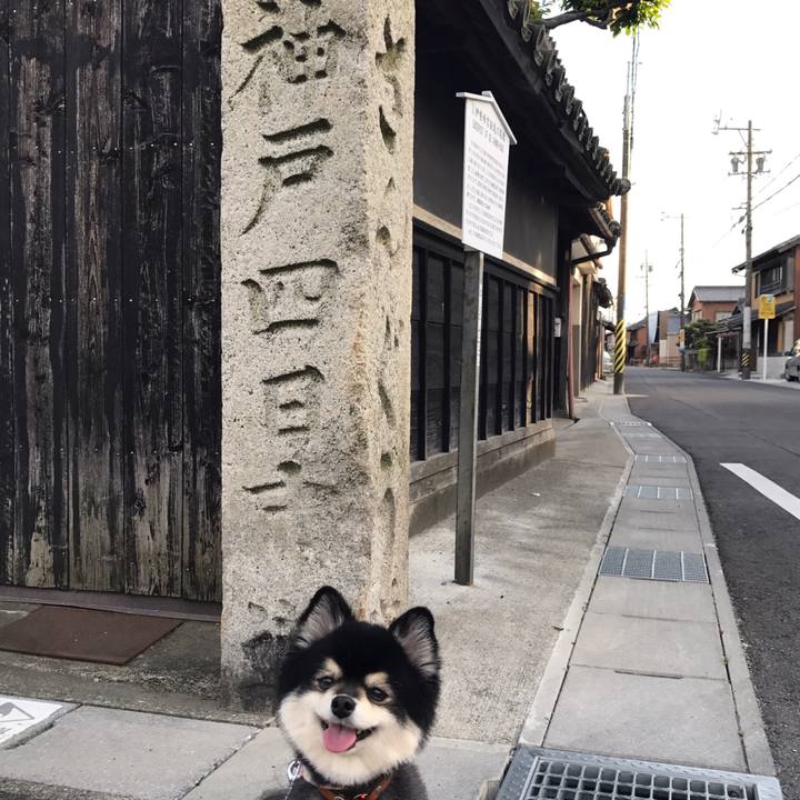 C28c9ffa 25af 482f 8d52 f08df89bedc4 1526172514255