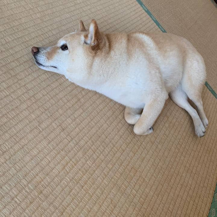 C28cf4c8 e819 4b1f bcff ecc13e18fe3c 1649979293029