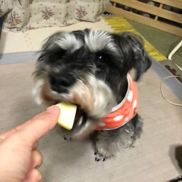 C28d1e5b fd2e 42a7 87d3 f2f8225b7309 1649424828171