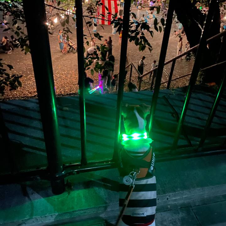 C28d661a e4eb 4898 9999 eaa6365c019e 1692407695284