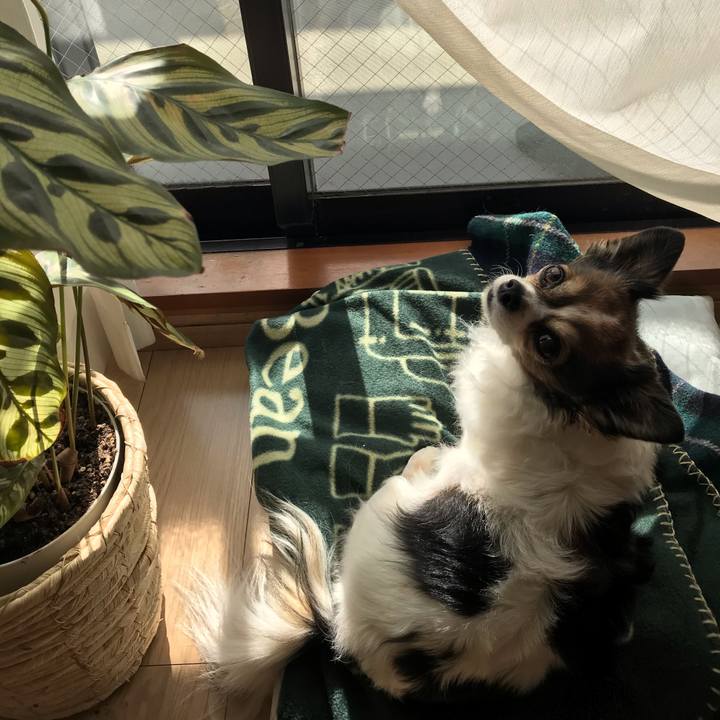 C28d6654 11f5 4ad5 be2a f8975927e8ea 1578454881800