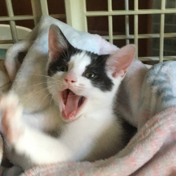 C28d8f5a 0c62 4b24 b5ba c7fea73de5fa 1626688318821