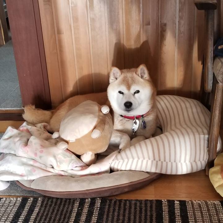 C28db88e 83dc 4a5e 8b80 13ac1111c8bb 1717047771190