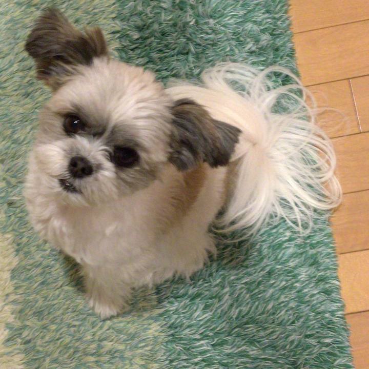 C28dd452 d591 49ff 82c7 a8c9108c12c6 1510615258951