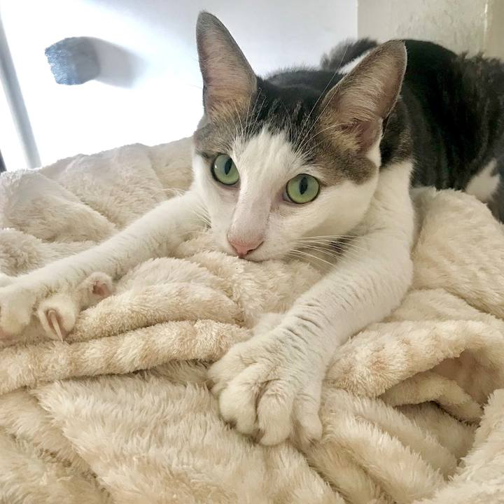 C28e2b35 e71f 48e8 853b ec0531adc266 1664714536318