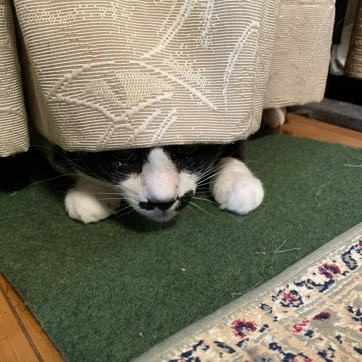 C28e339b 2f1e 4374 9941 fc21151e2e9e 1740488469664