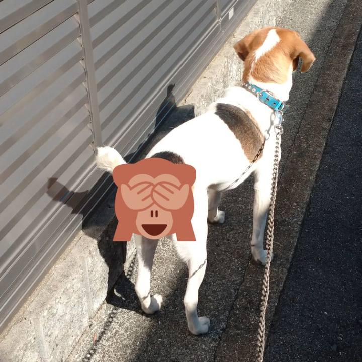 C28e44d7 2fd1 4dcc aa3e eed789b0690a 1604462357539