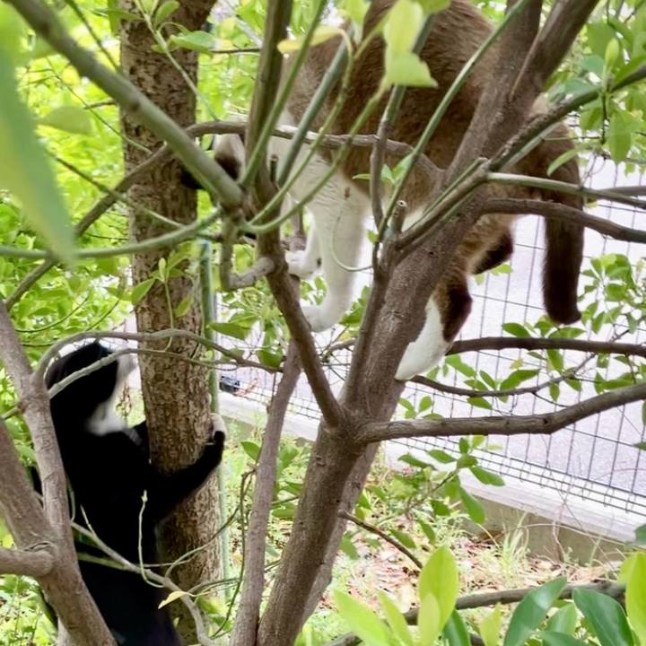 C28e6cdd db38 4a9a 92f0 09df38ad6dac 1743822630928