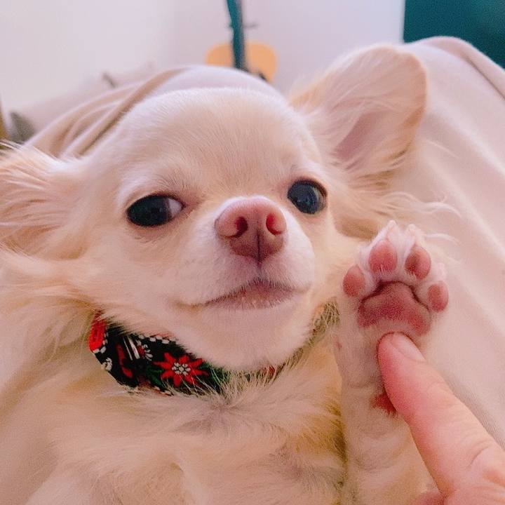 C28e71f7 627b 4c28 8108 a9d24162008f 1627454232301