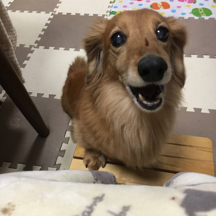 C28e8f1d 375e 4717 b867 d216ca6fd6c2 1611833984365