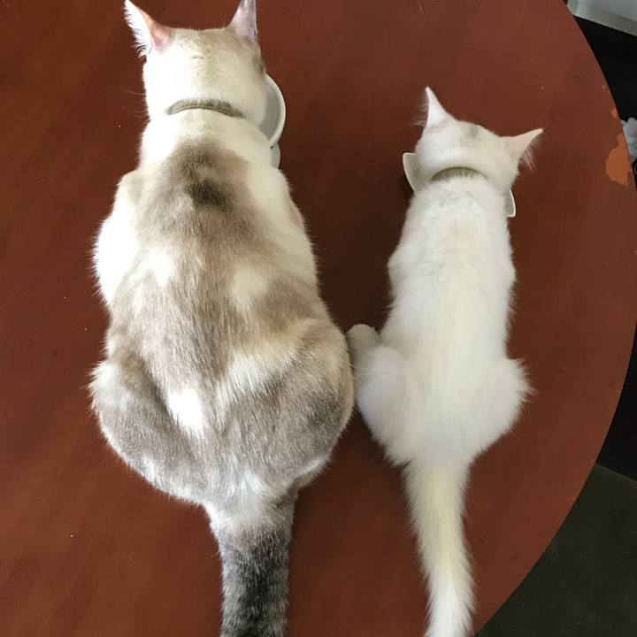 C28e9e77 33b2 4d1d 9d86 26fa4e8123da 1526083511346