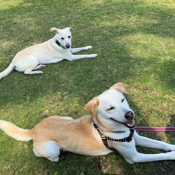 C28eb2d3 11e3 4091 8307 0472b84cefb6 1628639591591