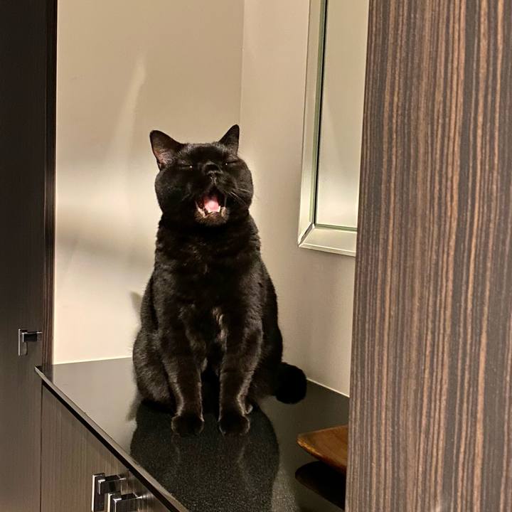 C28ee6b7 c2bf 4a64 a5df def7254f9401 1734956069190