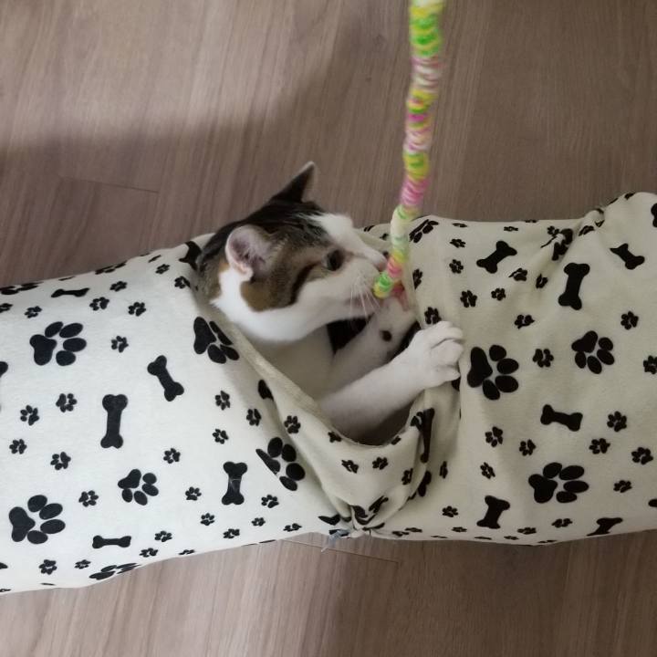 C28eec33 562f 443f bc13 0dcbf9003540 1553256086104