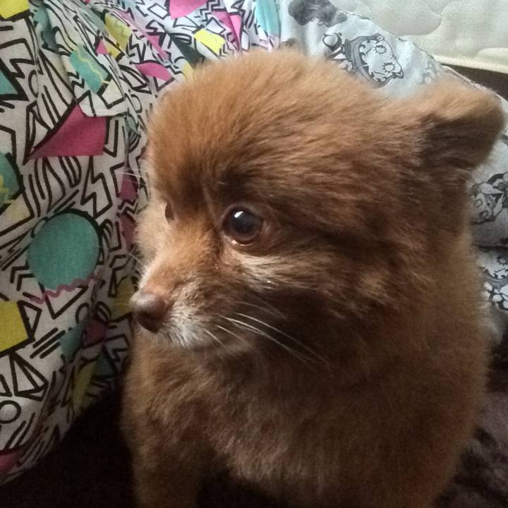 C28f6765 764f 4766 90a6 89f38c21f026 1531222412964