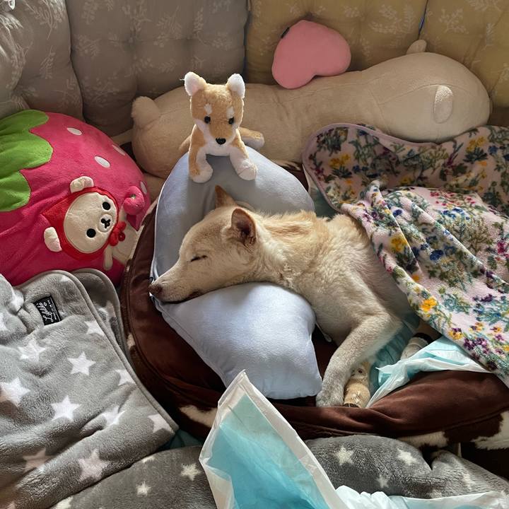 C28f82ce 4aa3 4fca a5d9 26ad6f5b02aa 1679539307347