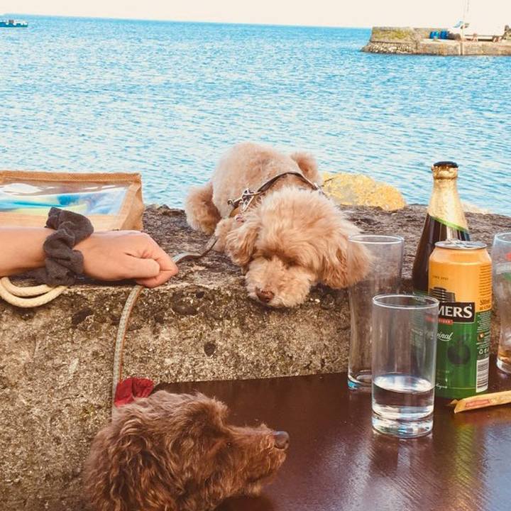 C28f8905 37a8 4ede b06d 3b25e0ca6cf4 1627913095567