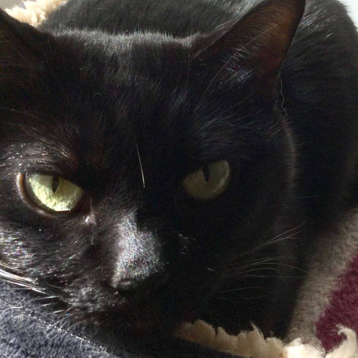 C28f9ca8 3e2b 40f0 b34b 877630acb86d 1570681222334