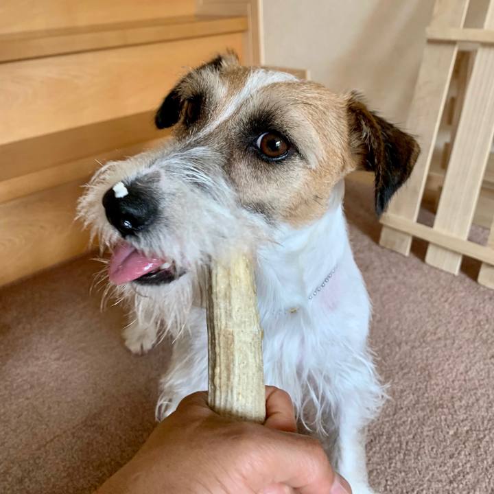 C28fbe5b 578f 42aa a31d 8d93308638ec 1624164977688