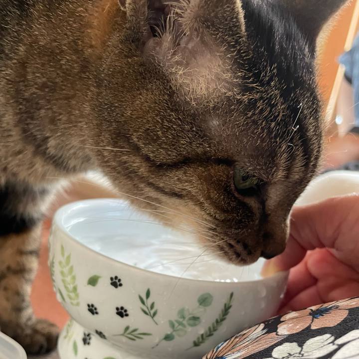 C28fccd7 0031 4f4d abc9 dc607f251ff5 1623462801946