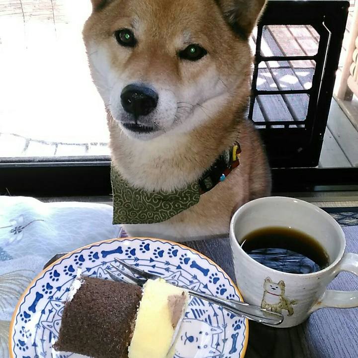 C2900643 2d78 401b 8570 164e45904a3f 1528351433442