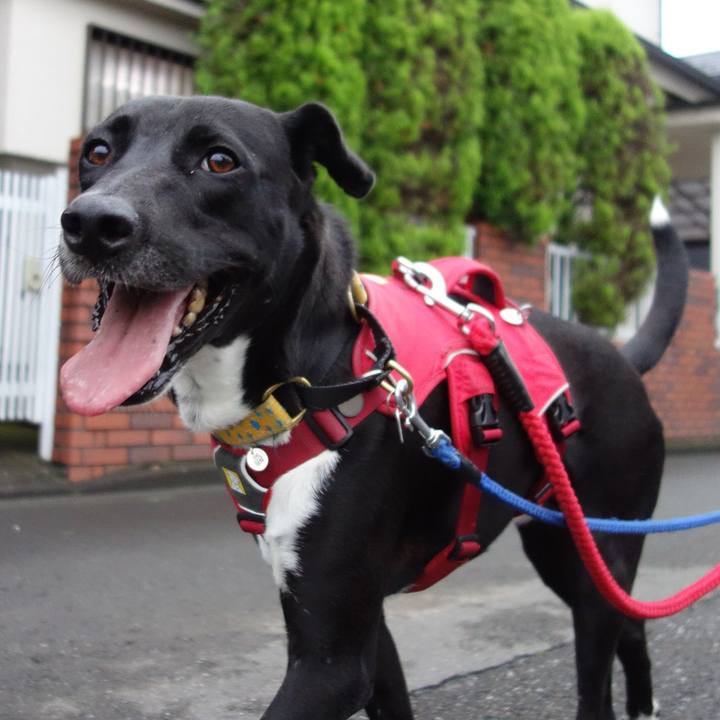 C29009d9 a57e 485a 9e5d 8c2e8ecec240 1592130865245