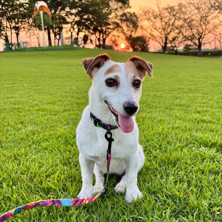 C29010ab 9a55 439d 9de0 f751d10691f9 1758976198989