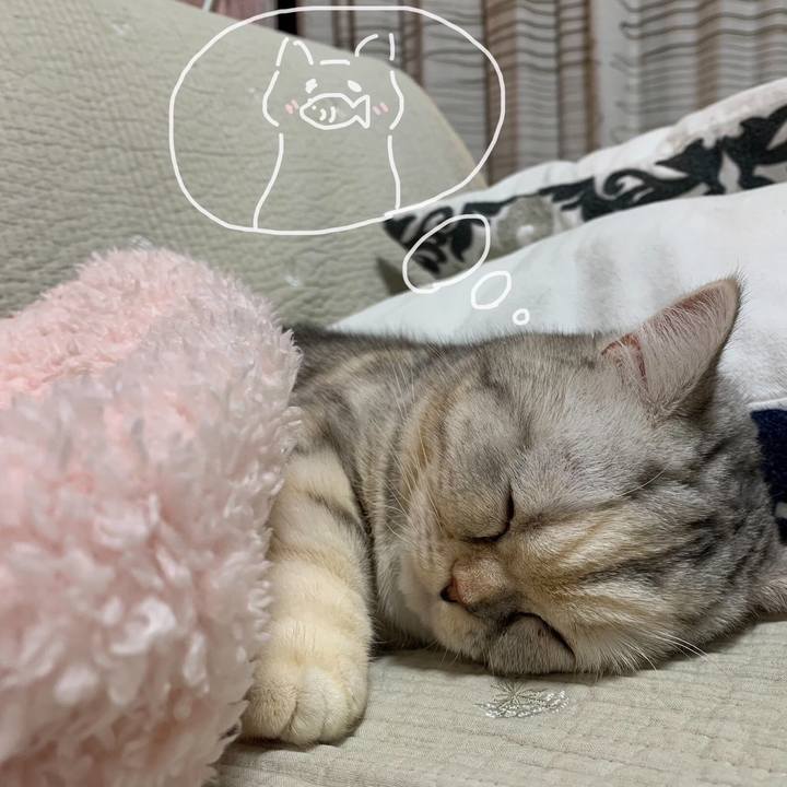 C2901561 205d 43f6 ac68 1ca9dc0632e5 1705310666330