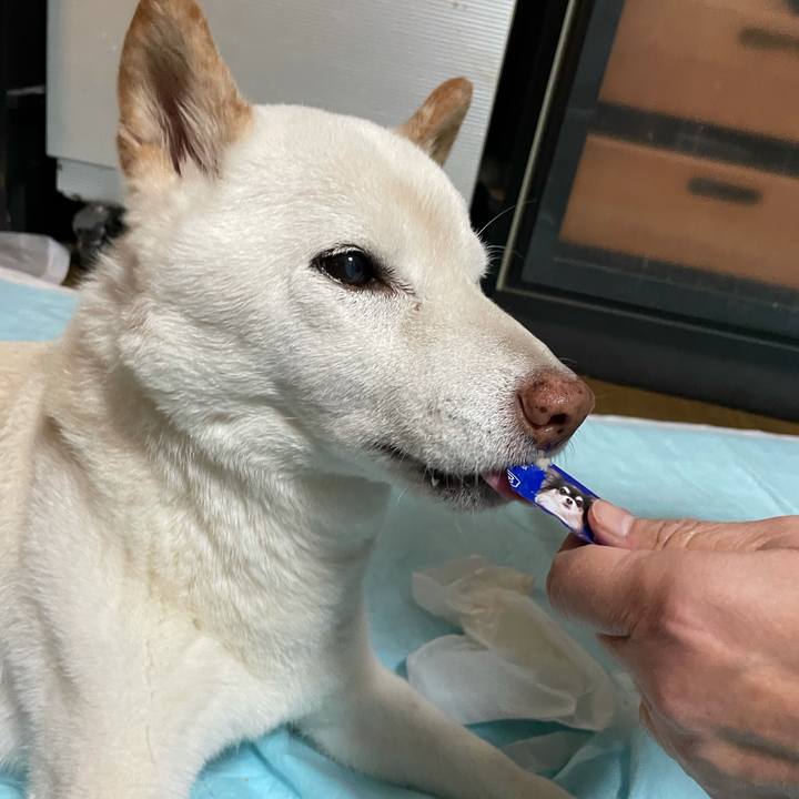 C290686b 14b6 48e0 8ca2 8eb6600ceab4 1634816705051