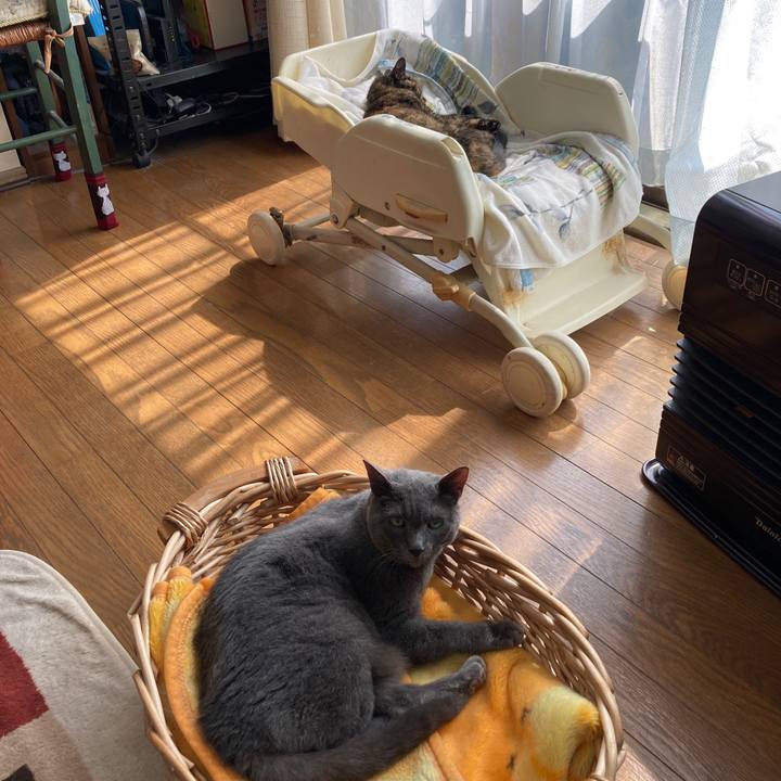 C2907d38 1528 45ea a34a b1cc9c877fc6 1632361547030