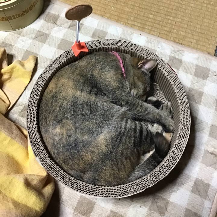 C2907e35 8b90 4232 93e6 65fbc04cae94 1615369126243