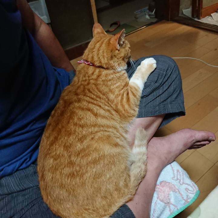 C290a0ff 4f04 4cdf bed2 f6bf82feeb17 1597661254291