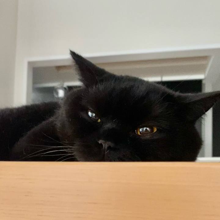 C2910f5b 8a04 4570 b948 c1bf65baf57a 1690102671254