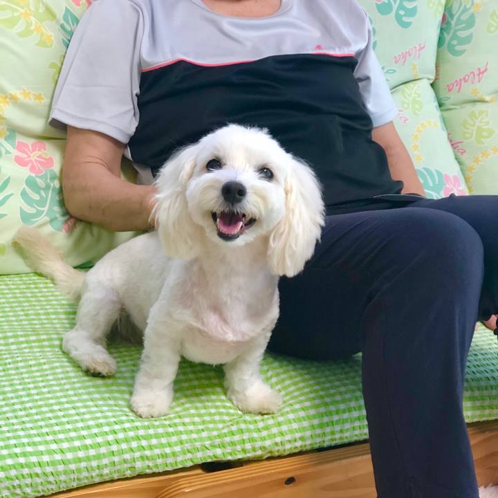 C2912387 e0a6 42f2 9e2e 7a0eeb40260f 1565138079116